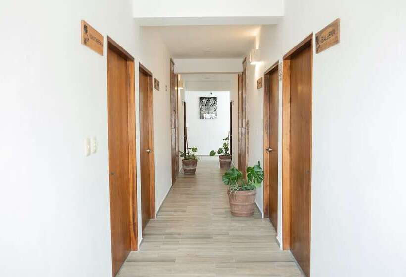 هتل Pelecanus Suites Holbox