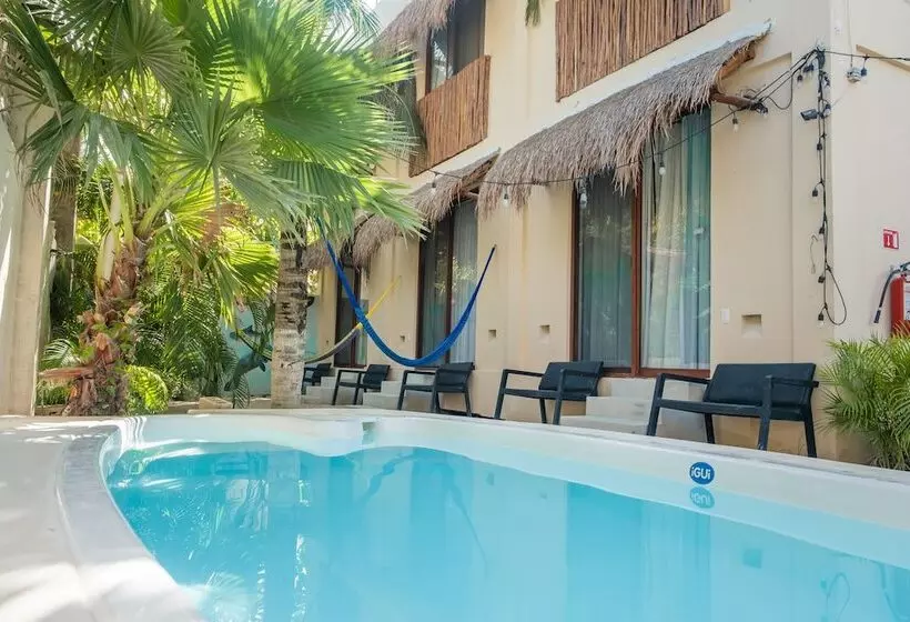 Hotelli Pelecanus Suites Holbox