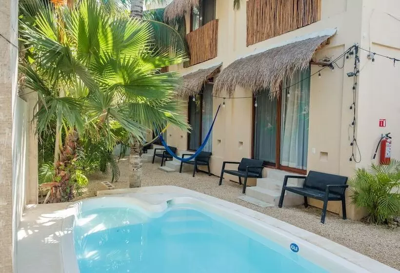 Hotelli Pelecanus Suites Holbox