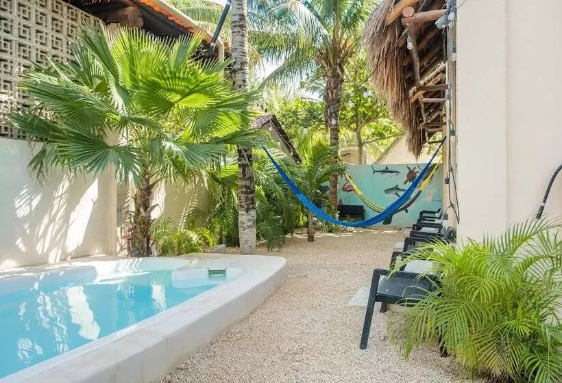 Hotelli Pelecanus Suites Holbox