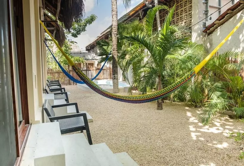 Hotelli Pelecanus Suites Holbox