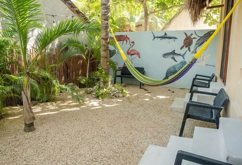 Hotelli Pelecanus Suites Holbox