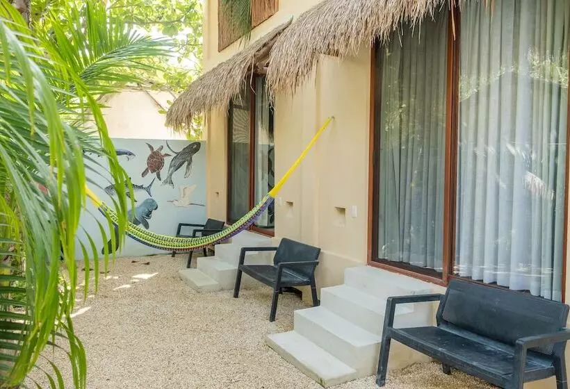 Hotelli Pelecanus Suites Holbox