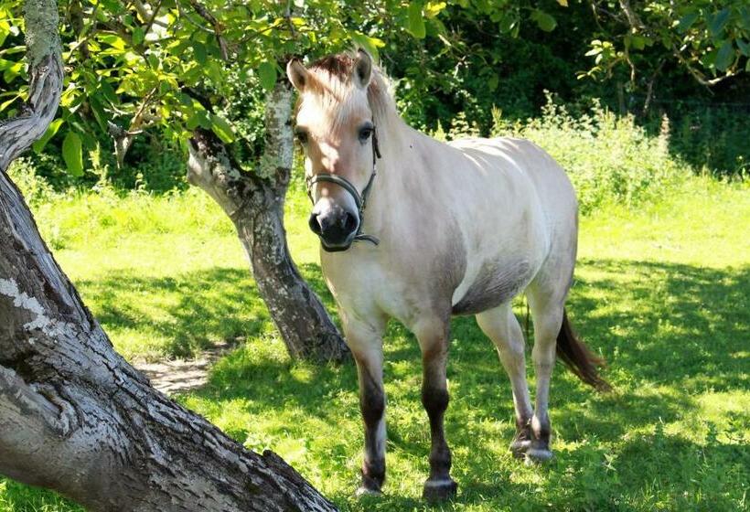 酒店 Retour Au Source