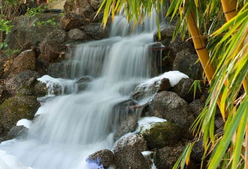 Hotell Sunrise Palace