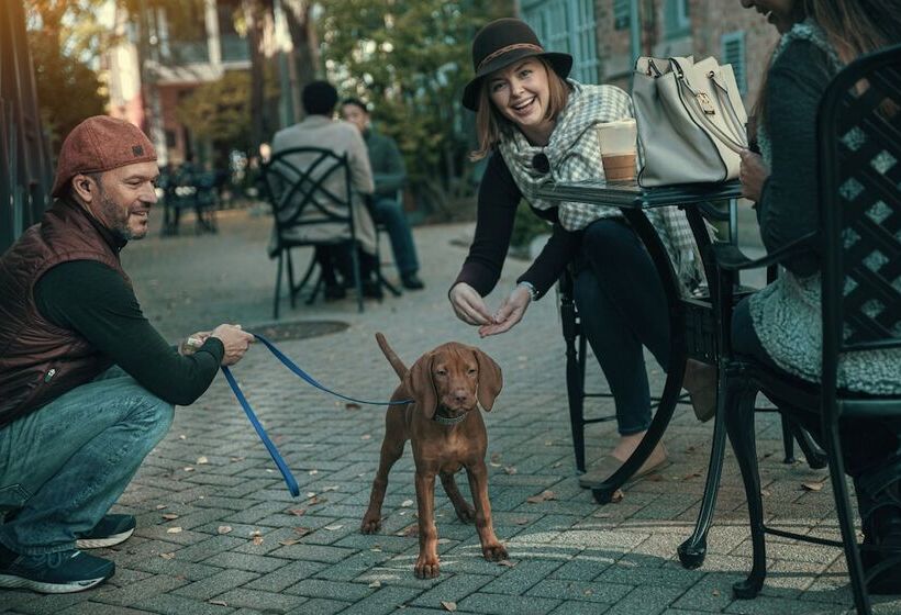 ホテル The Forester A Hyatt Place