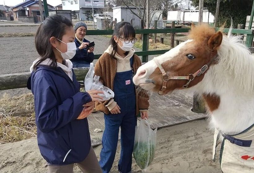 膳宿费 Poka Poka Village