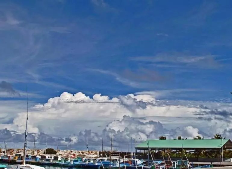 پانسیون Tiger Shark Residence & Dive