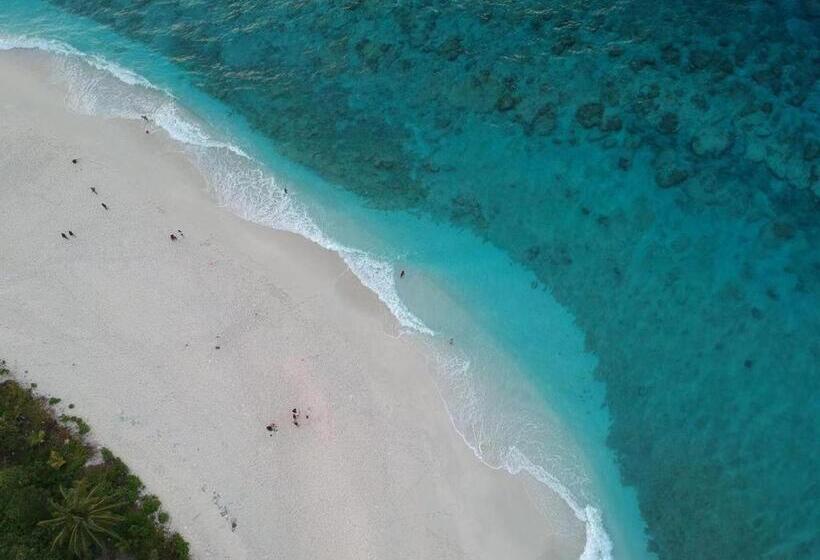 پانسیون Tiger Shark Residence & Dive