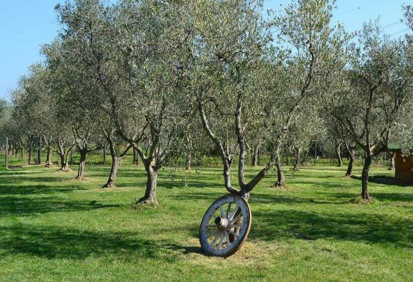 בית מלון כפרי Agriturismo Il Giglio Di Sant  Antonio