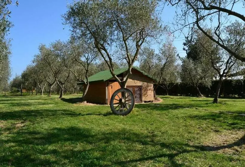 Hotelli Agriturismo Il Giglio Di Sant  Antonio