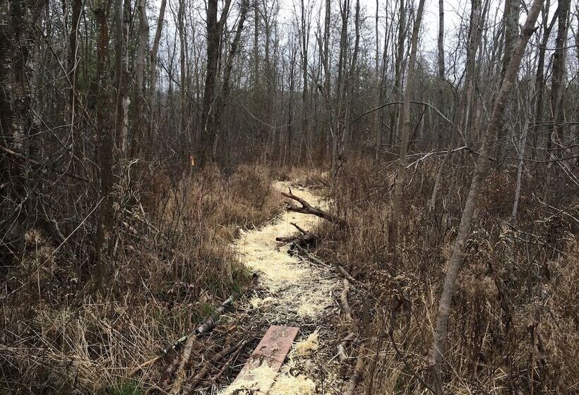 فندق على الطريق Cedar Ridge Cabins