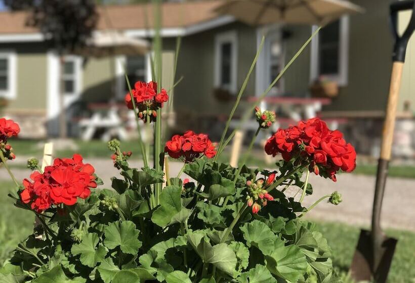 فندق على الطريق Cedar Ridge Cabins