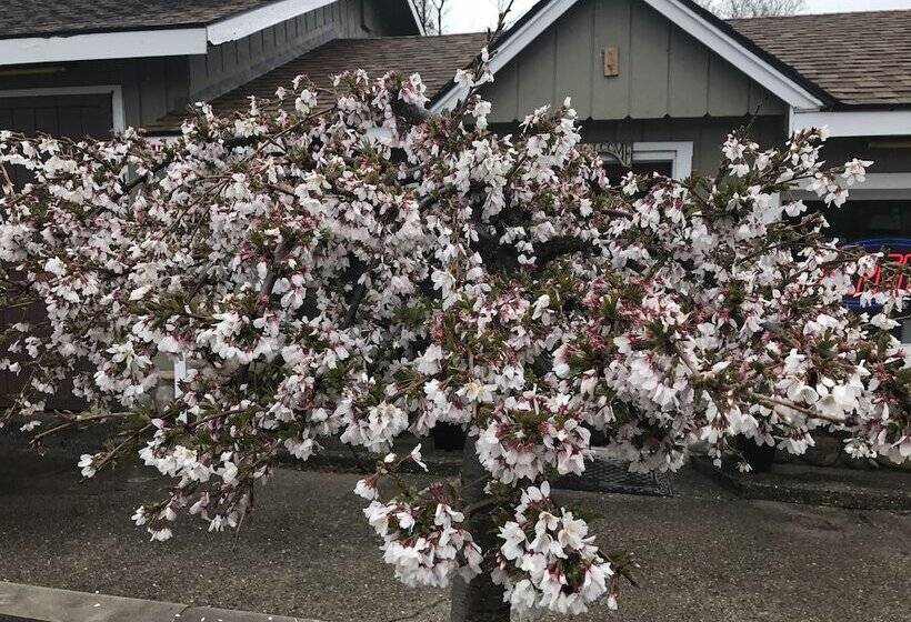 فندق على الطريق Cedar Ridge Cabins