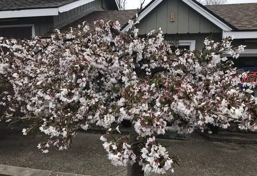 Motelli Cedar Ridge Cabins