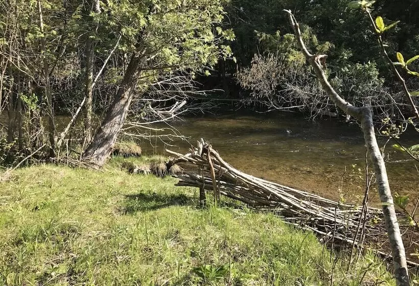 Motelli Cedar Ridge Cabins