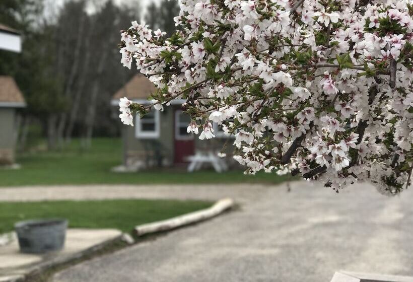 فندق على الطريق Cedar Ridge Cabins