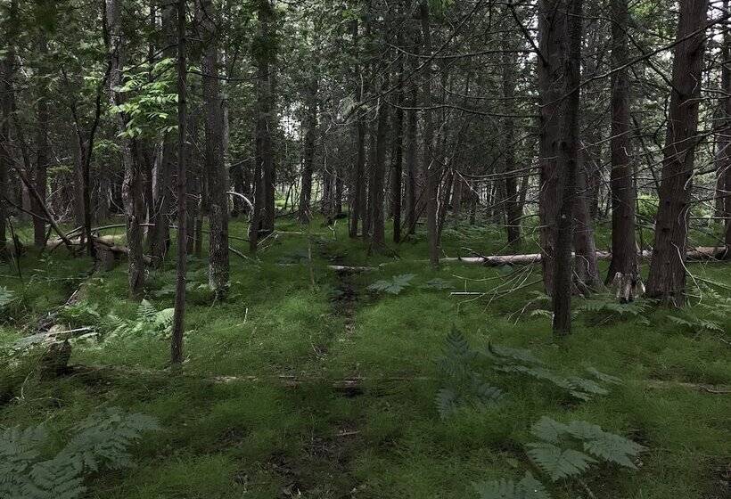 فندق على الطريق Cedar Ridge Cabins