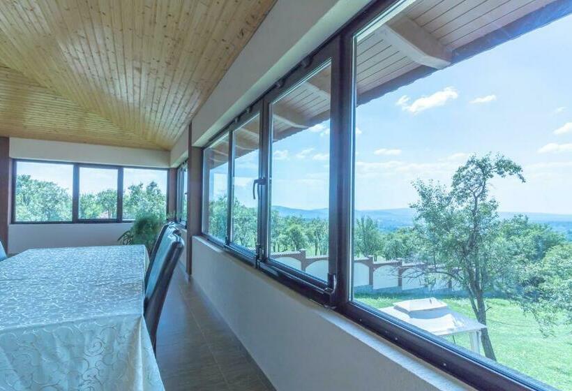 پانسیون Conacul Lui Bulică