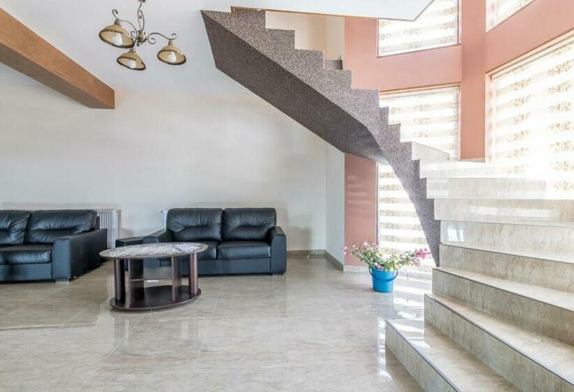 پانسیون Conacul Lui Bulică