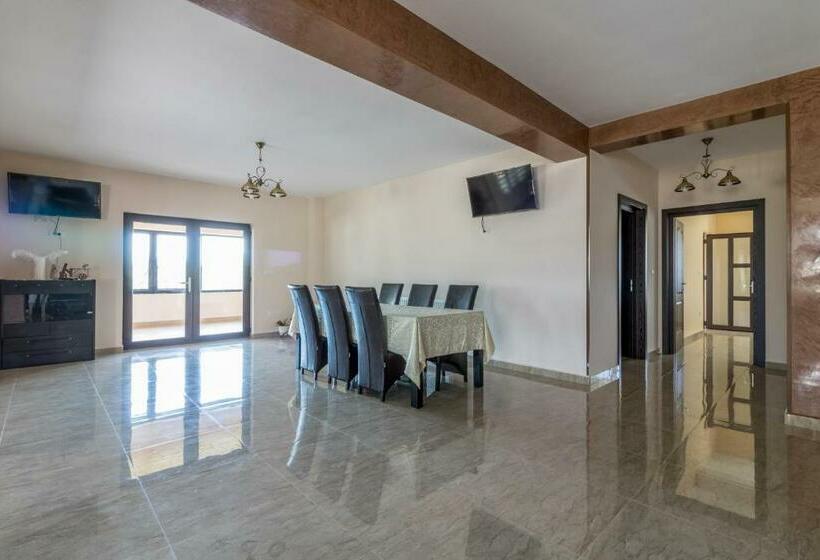 پانسیون Conacul Lui Bulică