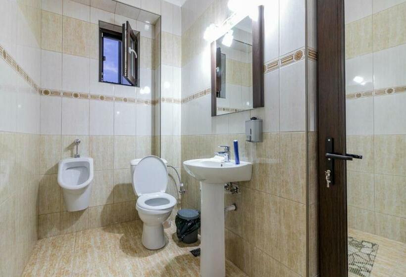 پانسیون Conacul Lui Bulică