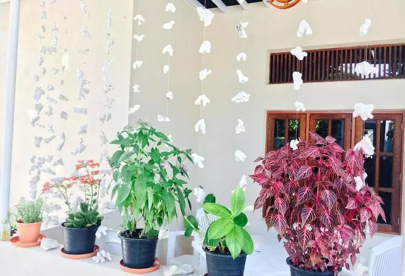 پانسیون Midsummer Thulusdhoo