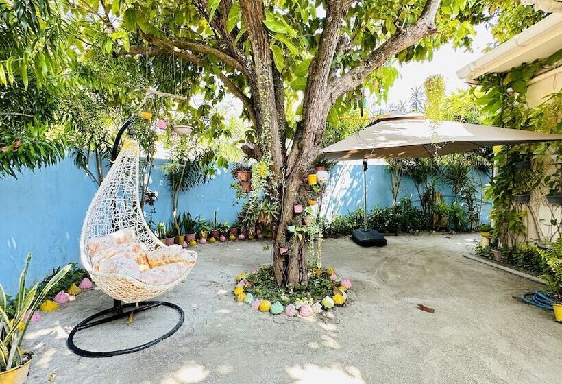 Pension Midsummer Thulusdhoo