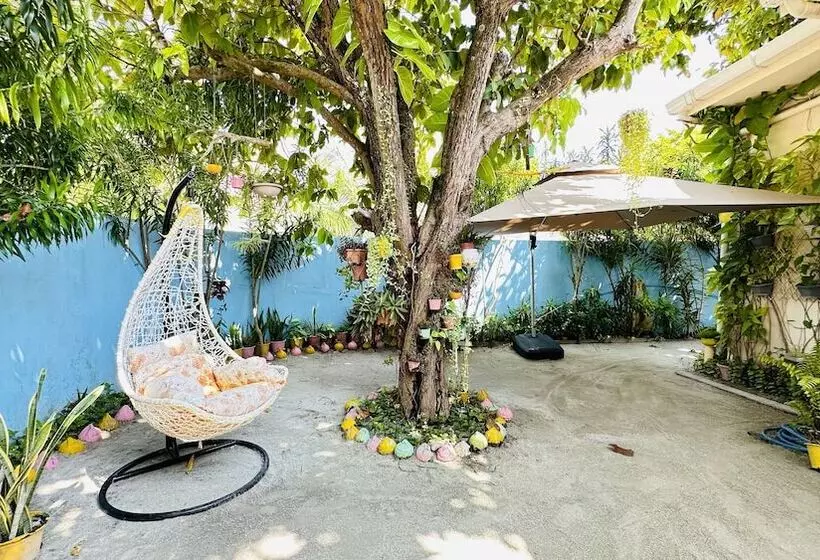 پانسیون Midsummer Thulusdhoo