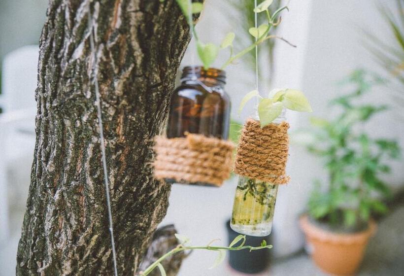 Pension Midsummer Thulusdhoo