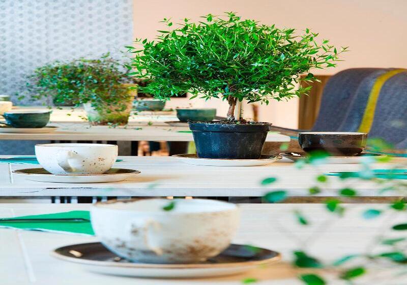 בית מלון כפרי Absalon