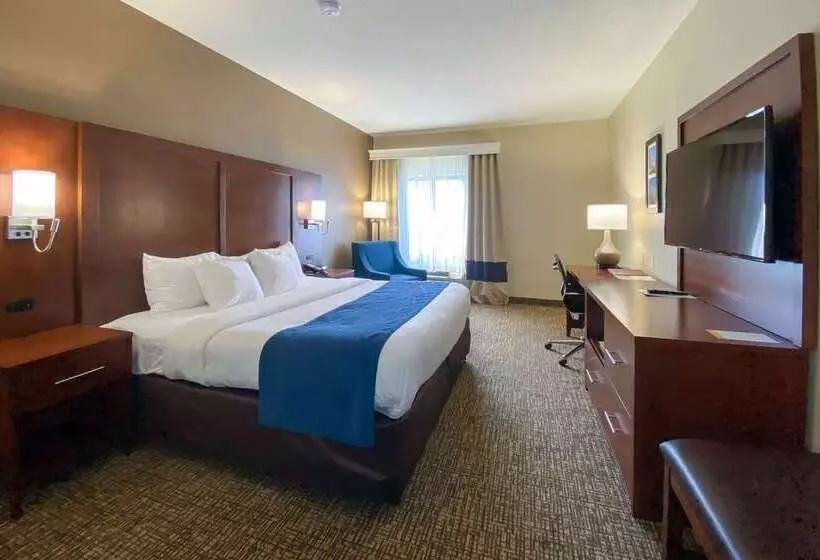 هتل Comfort Inn East Windsor Springfield
