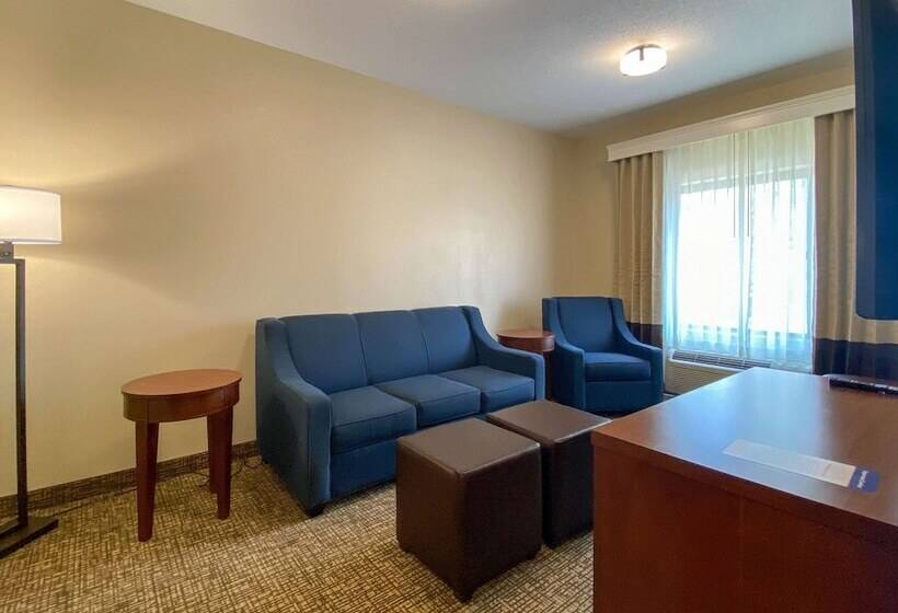 בית מלון כפרי Comfort Inn East Windsor  Springfield