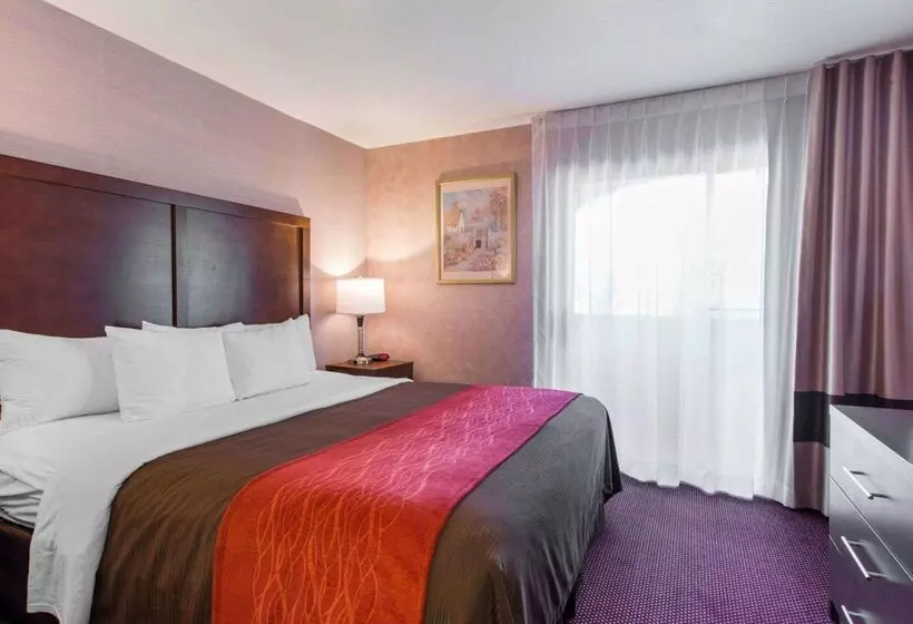 Hotel Comfort Inn & Suites Moreno Valley Near March Air Reserve Base