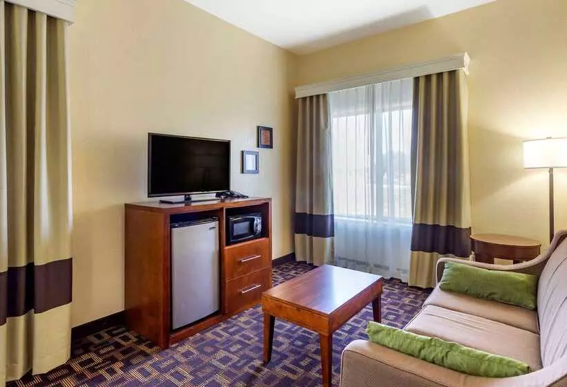 Hotel Comfort Inn & Suites North Aurora   Naperville