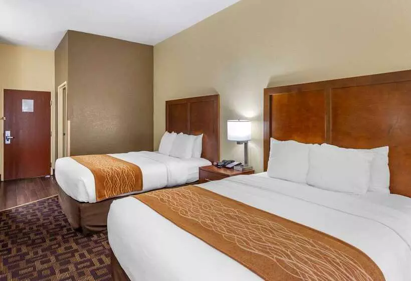 Hotel Comfort Inn & Suites North Aurora   Naperville