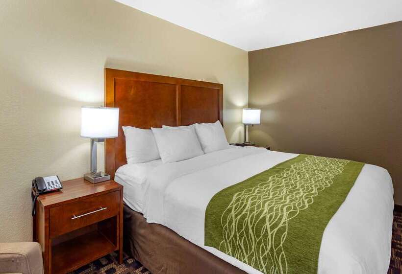 Отель Comfort Inn & Suites North Aurora   Naperville