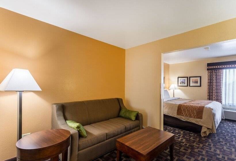 Отель Comfort Inn & Suites North Aurora   Naperville