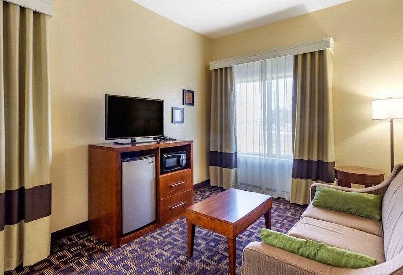Отель Comfort Inn & Suites North Aurora   Naperville