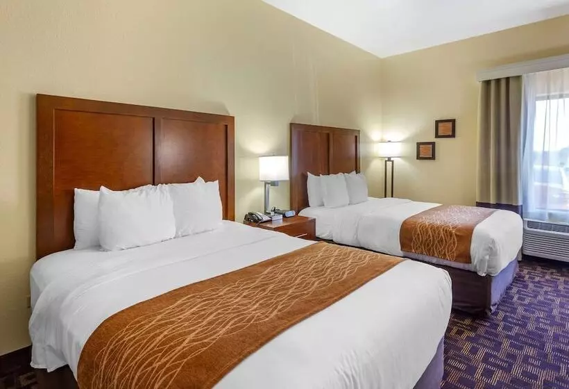 Hotel Comfort Inn & Suites North Aurora   Naperville