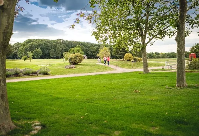 Отель Domaine De Roiffe