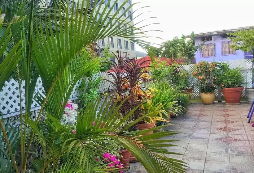 هتل Forty Winks Inn