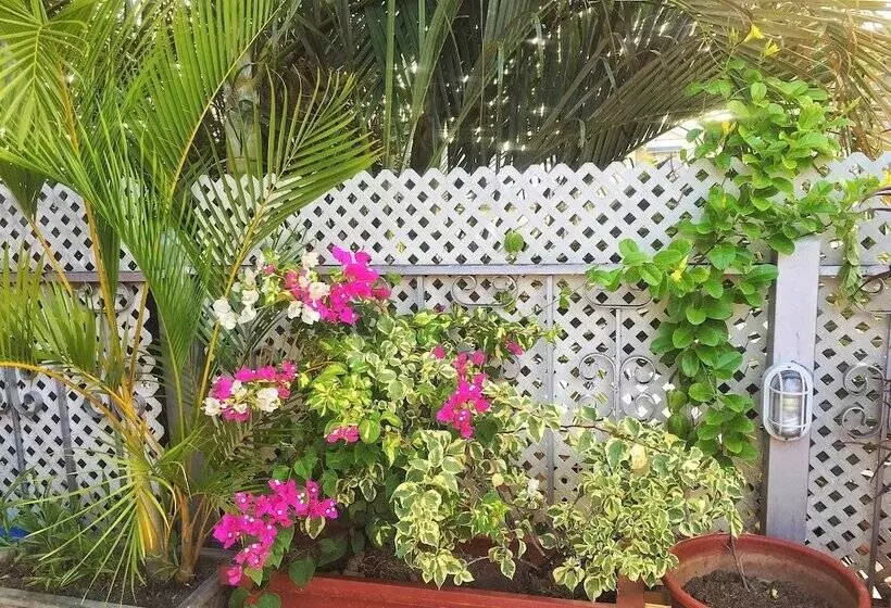 هتل Forty Winks Inn