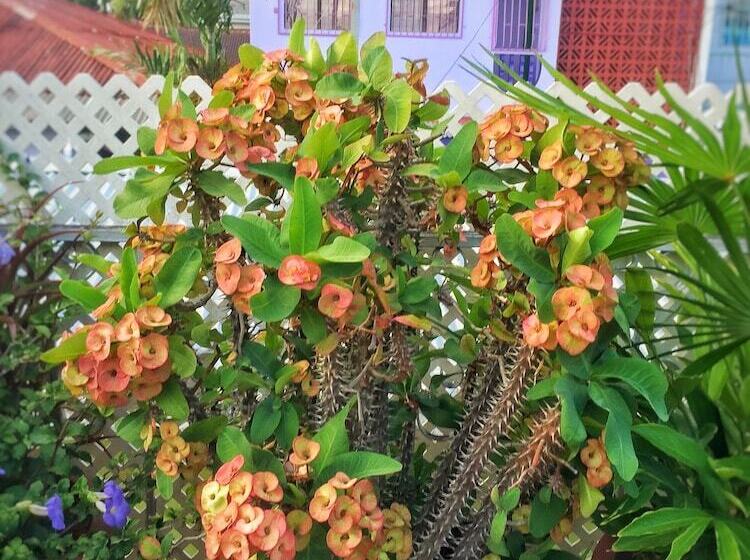 هتل Forty Winks Inn