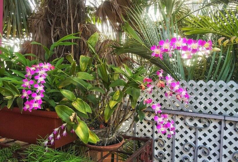 هتل Forty Winks Inn