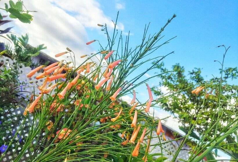 هتل Forty Winks Inn