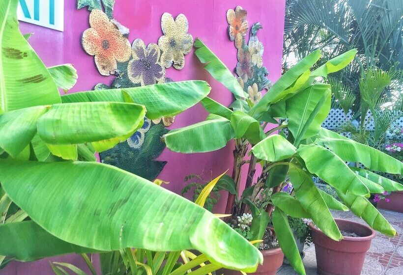 هتل Forty Winks Inn