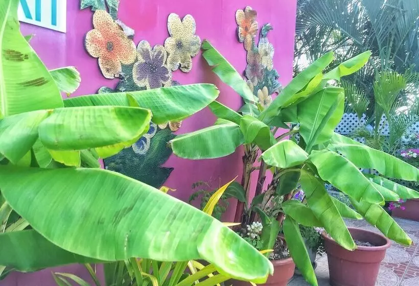 هتل Forty Winks Inn