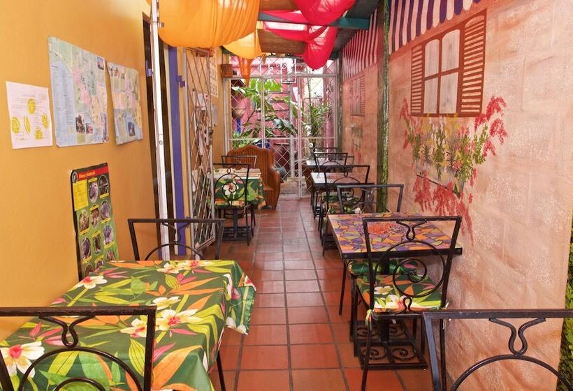 هتل Forty Winks Inn