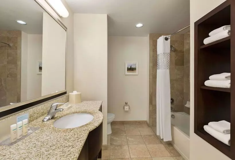 ホテル Hampton Inn & Suites Phoenix Glendale Westgate